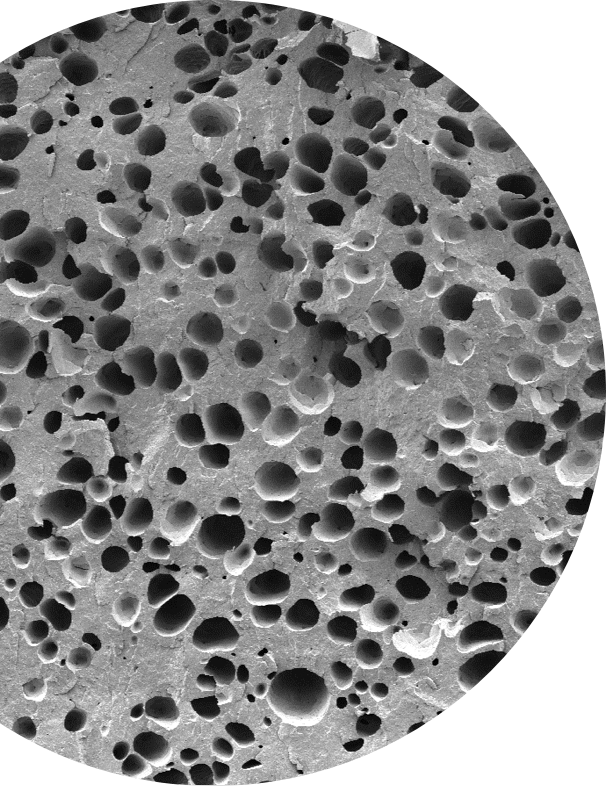 small cells under microscope